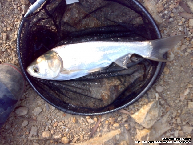 201404123438.jpg