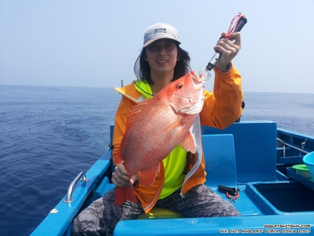 第一條上水紅魚