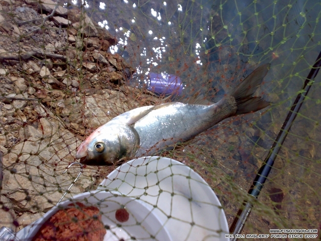 201404133442.jpg