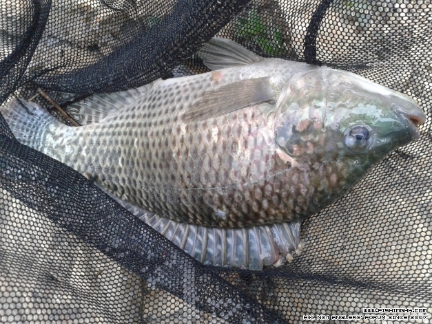 20140421_100041.jpg