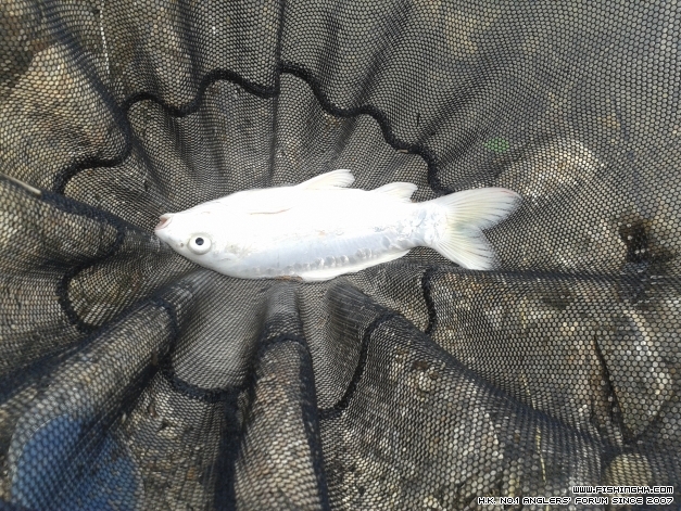 20140421_113107.jpg