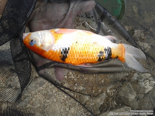20140421_153757.jpg