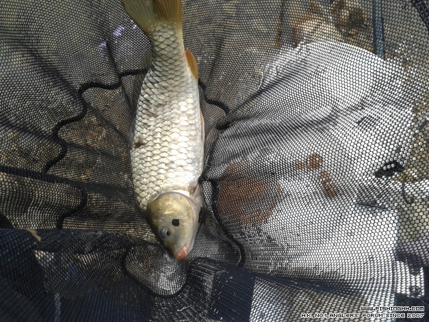 20140421_162604.jpg