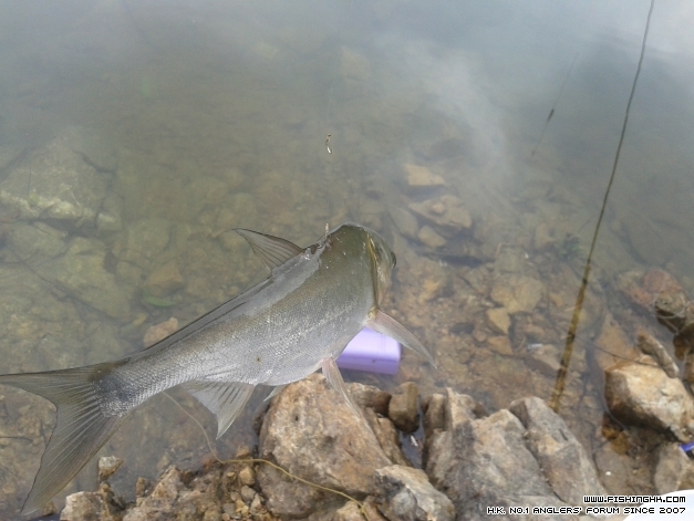 20140421_170746.jpg