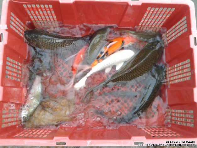 20140421_175936.jpg