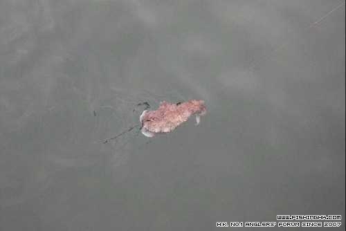 IMG-20140421-WA0000.jpg