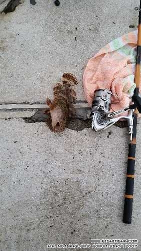 IMG-20140504-WA0003.jpg