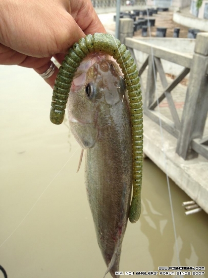 IMG_0650 (複製).JPG