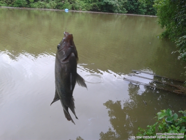 20140511_121427.jpg