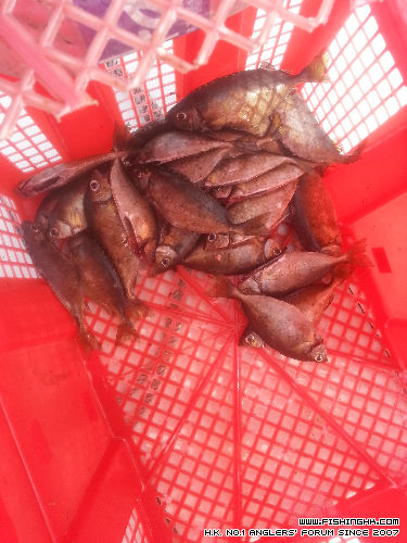 20140529_165759.jpg