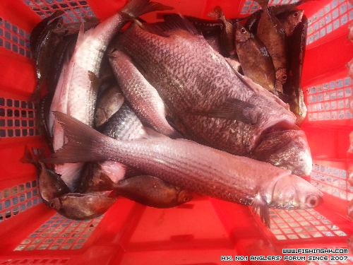 20140529_171102.jpg