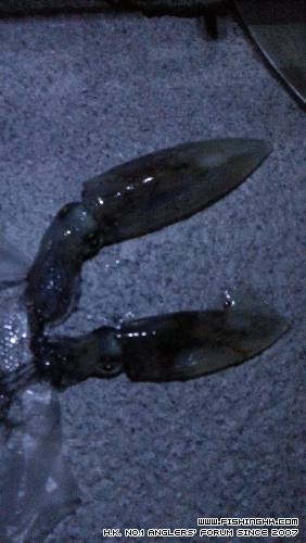 IMG-20140531-WA0000.jpeg