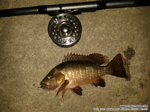 20140529_215746.jpg