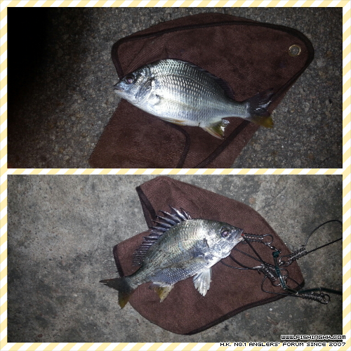 PhotoGrid_1401516489705.jpg