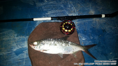 20140531_215624.jpg
