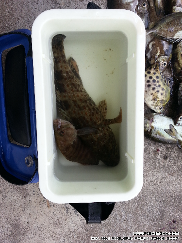 20140601_123353.jpg