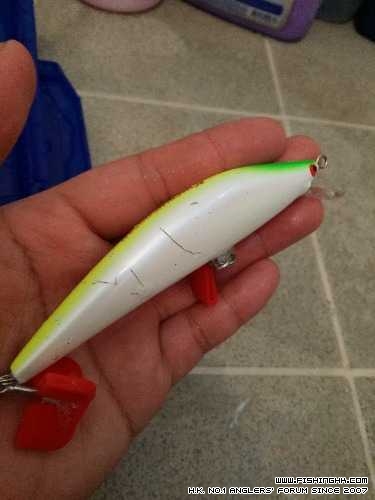 IMG_20140605_095642.jpg