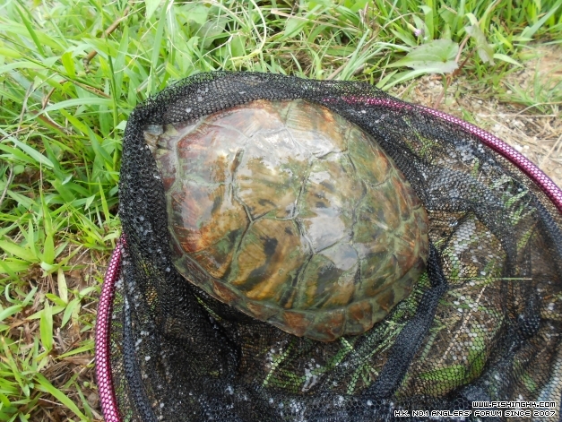 DSCN1038.JPG