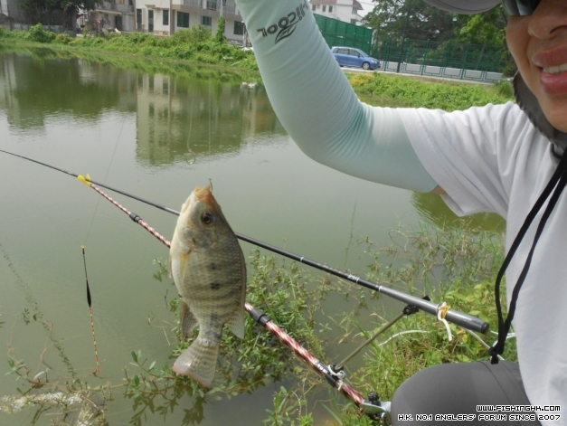 DSCN1330.JPG