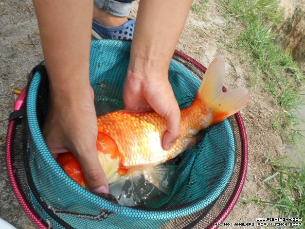 DSCN1339.JPG