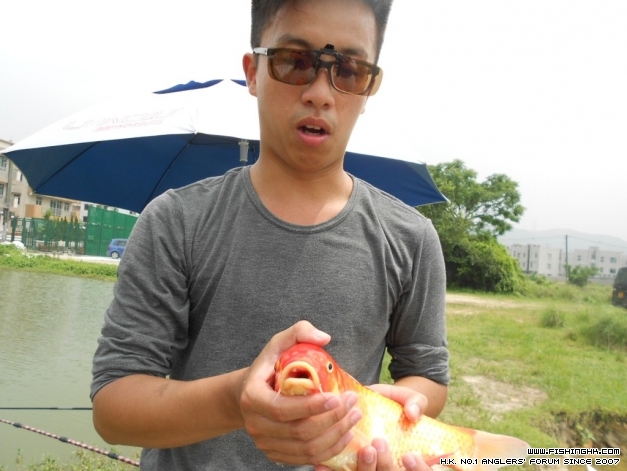 DSCN1342.JPG