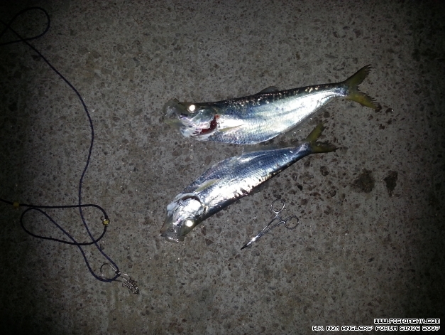 20140328_231157.jpg