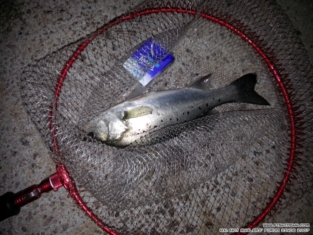 20140214_230143.jpg