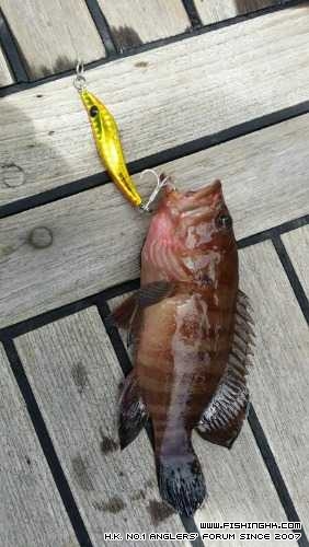 IMG-20140713-WA0009.jpg
