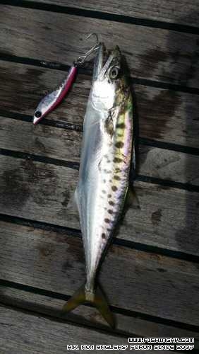 IMG-20140713-WA0010.jpg