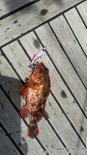 IMG-20140713-WA0011.jpg