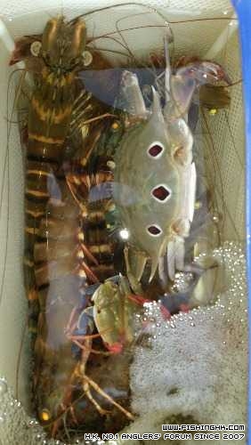 20140716_181417.jpg