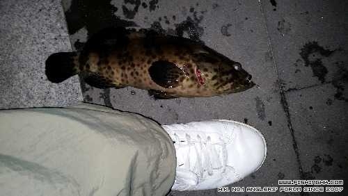20140716_232356.jpg