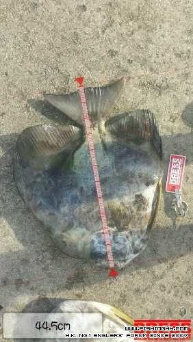 IMG-20140716-WA0008.jpg
