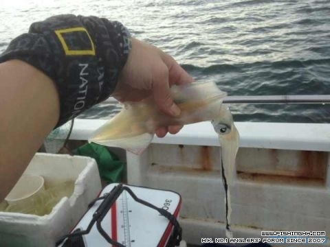 20140729_123400_003.jpg
