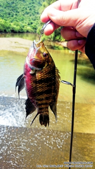 2014-08-24 12.24.24.jpg