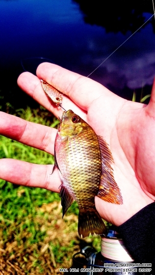 2014-08-24 13.40.39.jpg