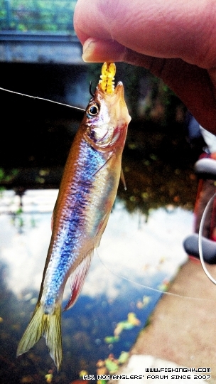 2014-08-24 15.12.27.jpg