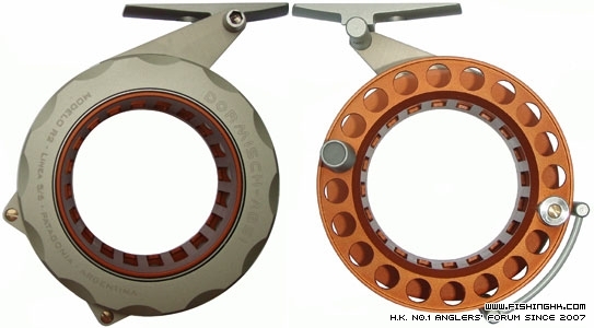flyreel-DormischAbsi1.jpg
