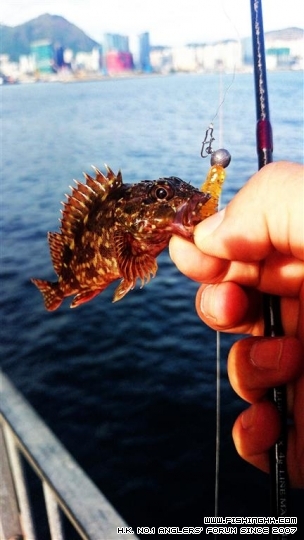 2014-09-13 16.35.24_resized.jpg