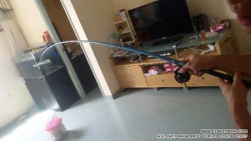 20140913_142655.jpg