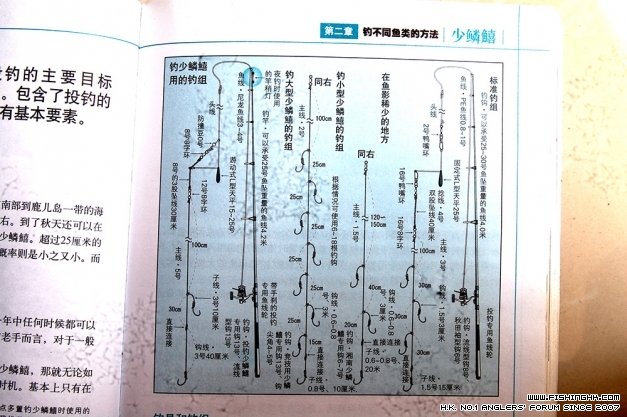 沙丁.jpg