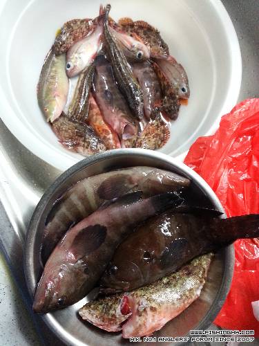 20141103_203442.jpg