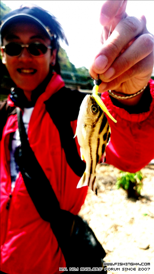 2014-11-09 11.13.11.jpg