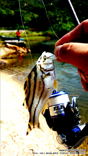 2014-11-09 11.04.21.jpg