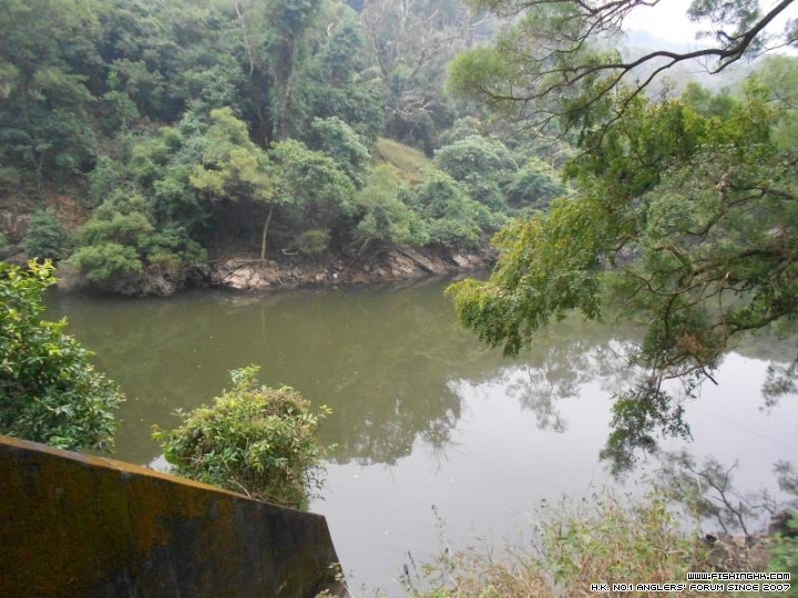 DSCN1128.JPG