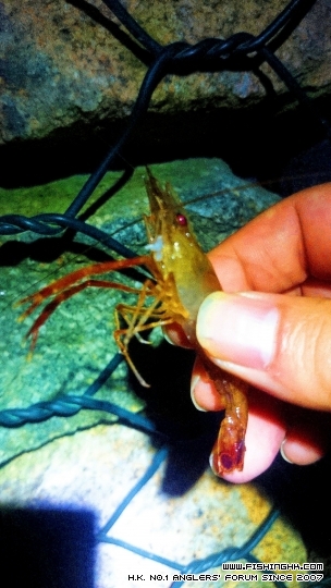 2015-01-06 21.35.05.jpg