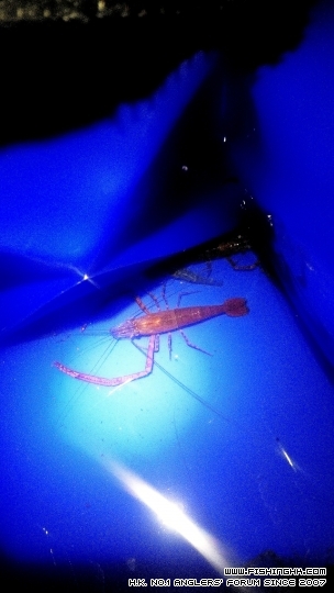 2015-01-06 23.28.45.jpg