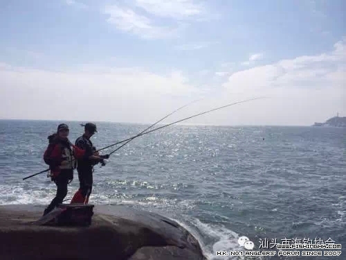 640.webp (9).jpg