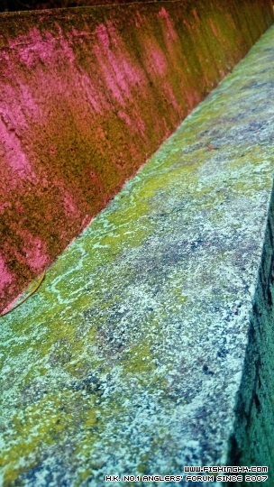 2015-01-10 16.20.00.jpg