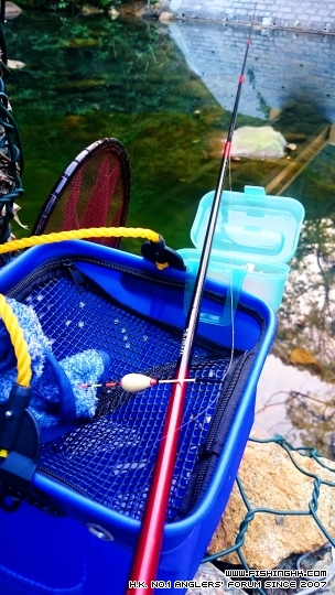 2015-01-10 17.32.05.jpg